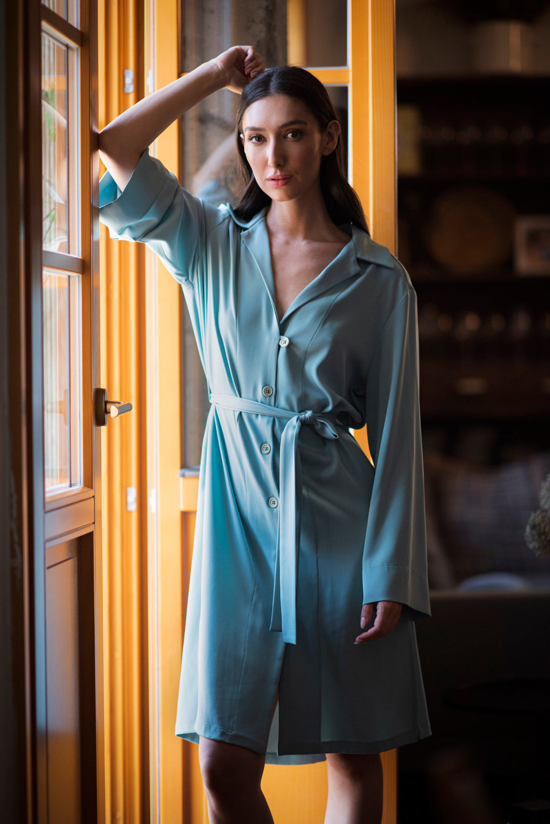 SHIR DRESS