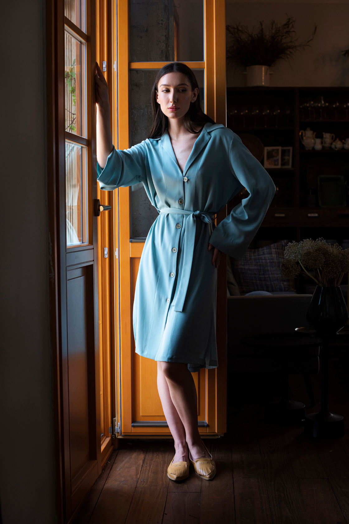 SHIR DRESS