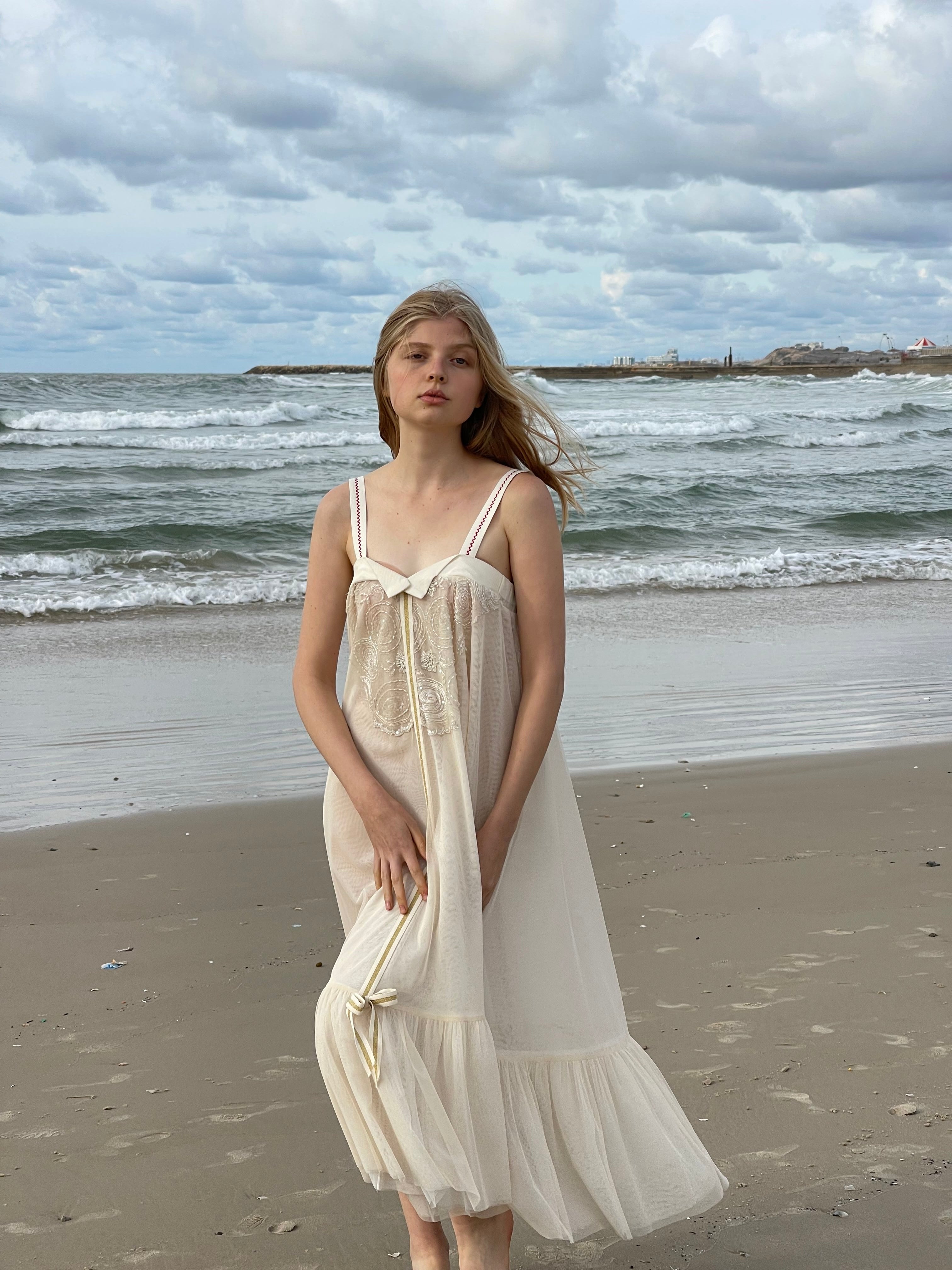 PARIS EMB DRESS